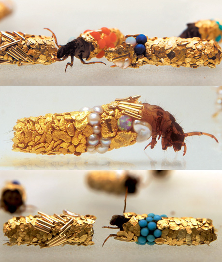 Hubert Duprat "Caddis"